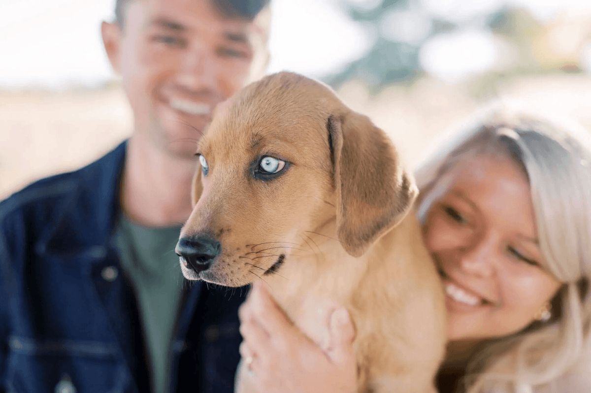 A puppy cared for by Paige's In-Home Pet Care