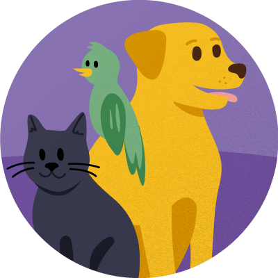 pet sitting badge