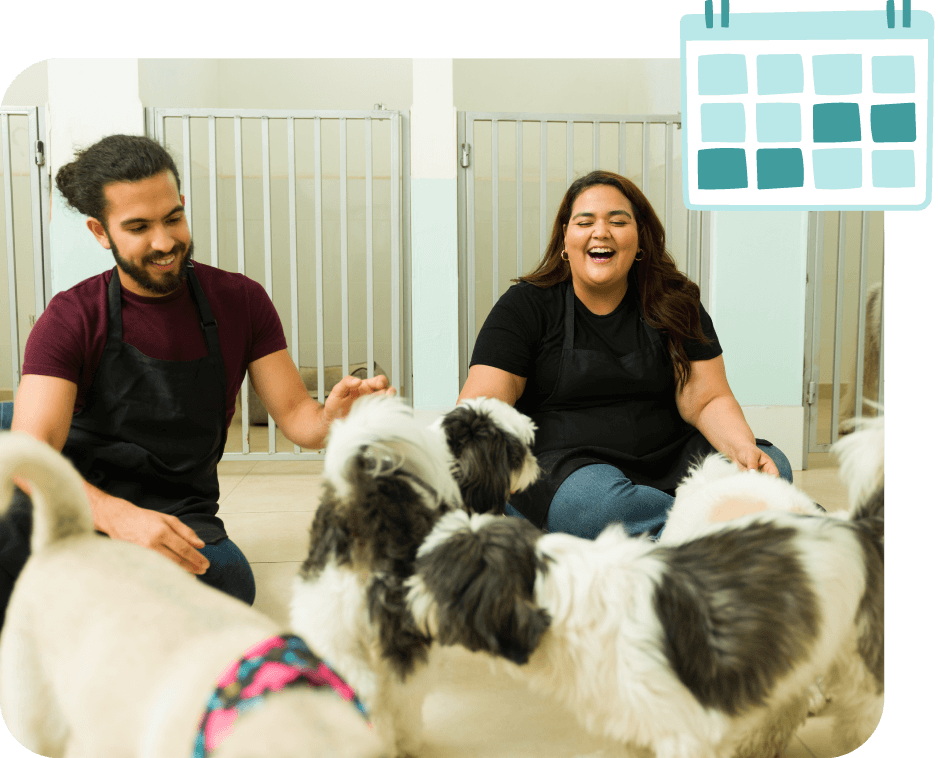 intuitive software for pet care teams