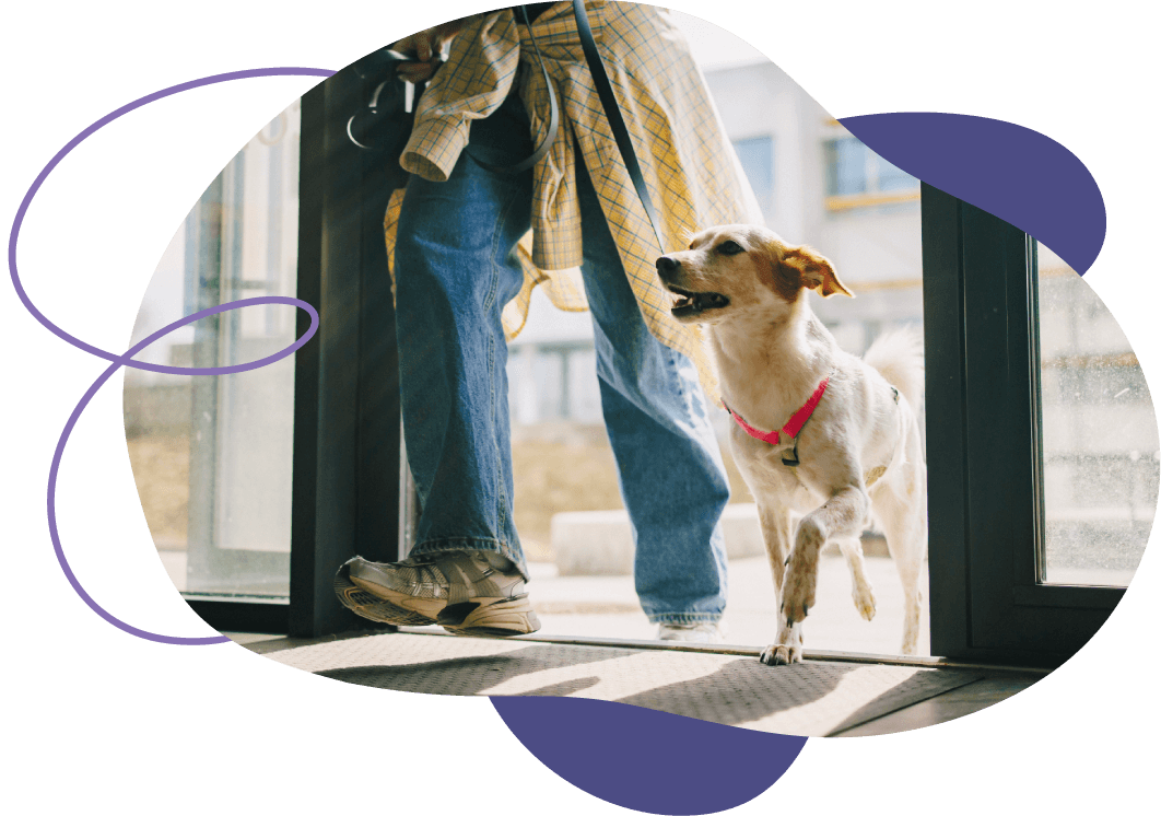 dog to boarding facility